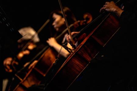 I Filarmonici di Roma in Alessandro Quarta (10)